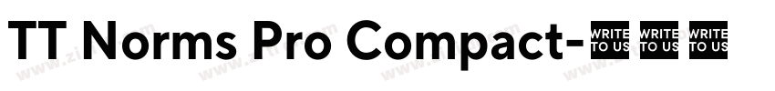 TT Norms Pro Compact字体转换